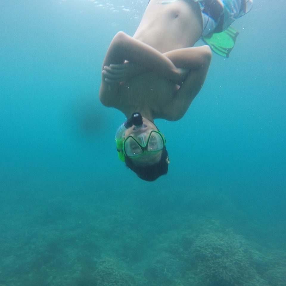 World Ocean Gyre Clean-Up Project